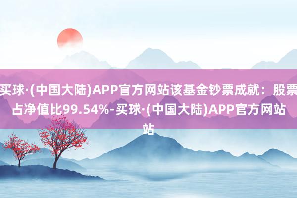 买球·(中国大陆)APP官方网站该基金钞票成就:股票占净值比99.54%-买球·(中国大陆)APP官方网站