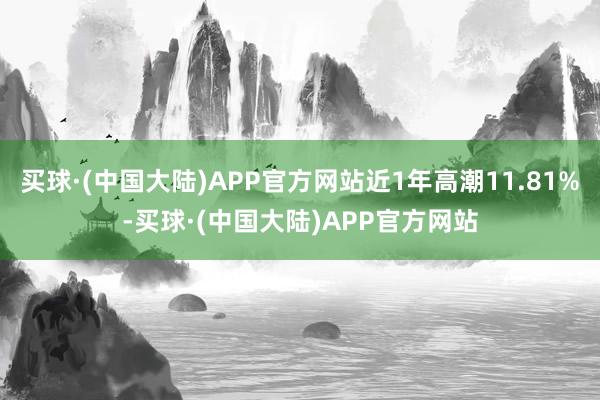 买球·(中国大陆)APP官方网站近1年高潮11.81%-买球·(中国大陆)APP官方网站