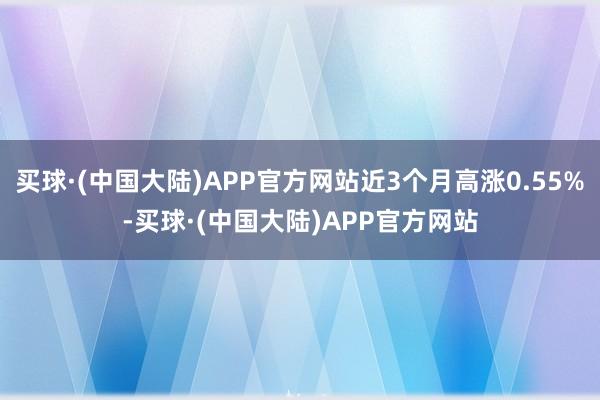 买球·(中国大陆)APP官方网站近3个月高涨0.55%-买球·(中国大陆)APP官方网站