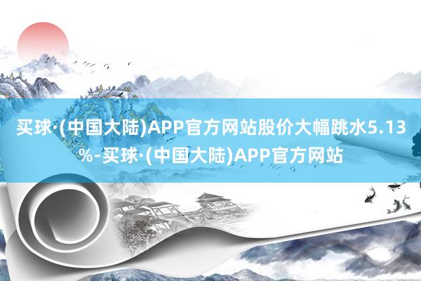 买球·(中国大陆)APP官方网站股价大幅跳水5.13%-买球·(中国大陆)APP官方网站